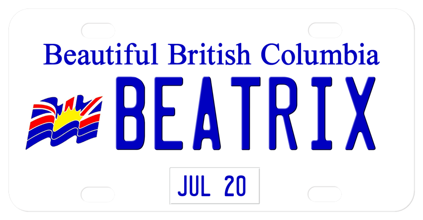 British Columbia Mini Personalized License Plates With Your Name