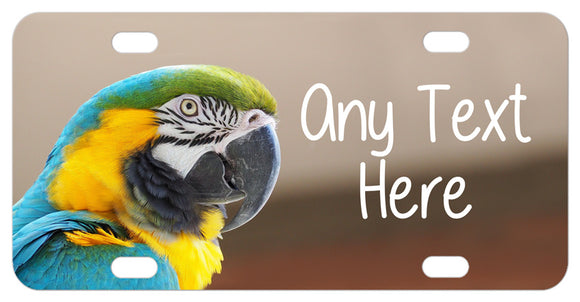 Photo of Blue and Gold Macaw with green cap and any text to personalize the plate