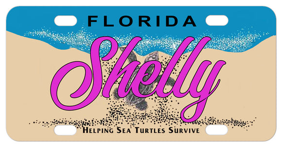sea shore and turtle with Florida on a mini bike tag