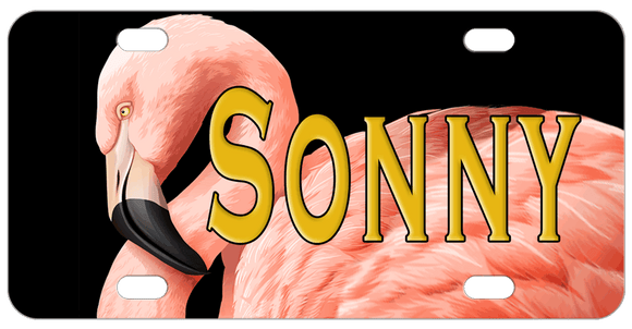 Beautiful almost realistic illustration of a Flamingo on a black background personalized with any text.