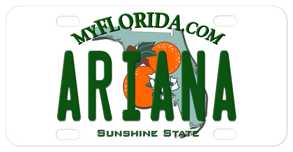 Personalized My Florida License Plate with any name and county