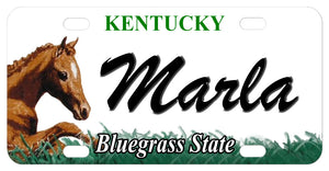 Kentucky license plate circa 2007 with Foal on left and any name in center.
