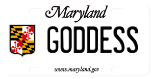 Maryland mini license plate 2004 with crest on left and any name in center (to the right of the crest)