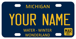 Michigan 1965 mini license plate personalized