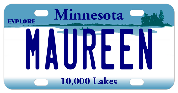 Minnesota Explore custom bicycle license plate with any name