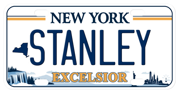 personalized NY bike plate inspired by the new Excelsior plate