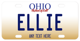 Ohio Heart of it all custom mini plates with your personalization in the center and on the bottom